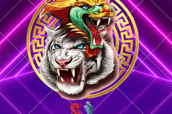 Raih Kemenangan Besar di DRAGON WILD dan TIGER WILD IDN LIVE dengan Strategi Jitu!